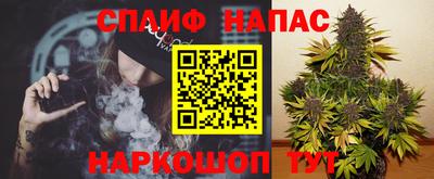 apvp Ливны