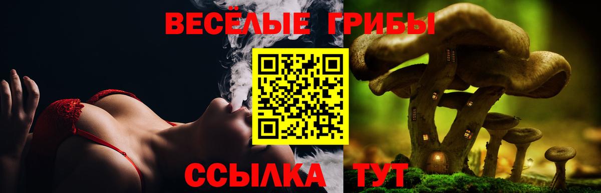 Галлюциногенные грибы Cubensis  Галлюциногенные грибы мухоморы  Шарыпово  Вход с VPN 